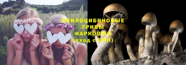 Альфа ПВП Алзамай