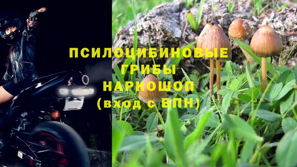 Альфа ПВП Алзамай