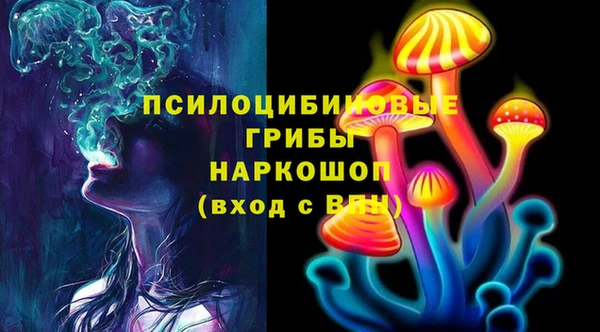гидра Семёнов