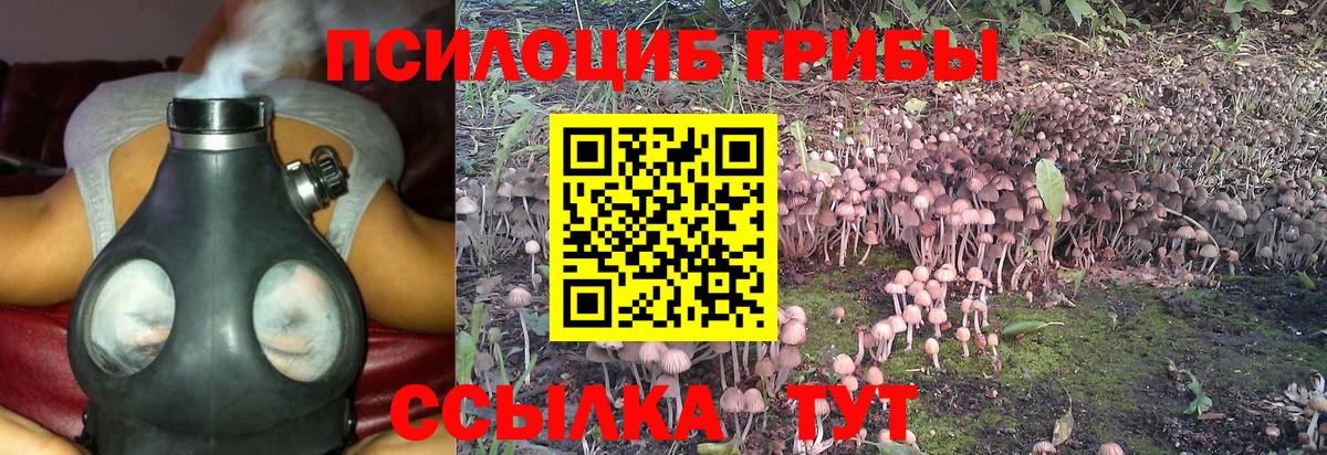 Галлюциногенные грибы MAGIC MUSHROOMS  купить наркотик  Лабинск  Вход с VPN 